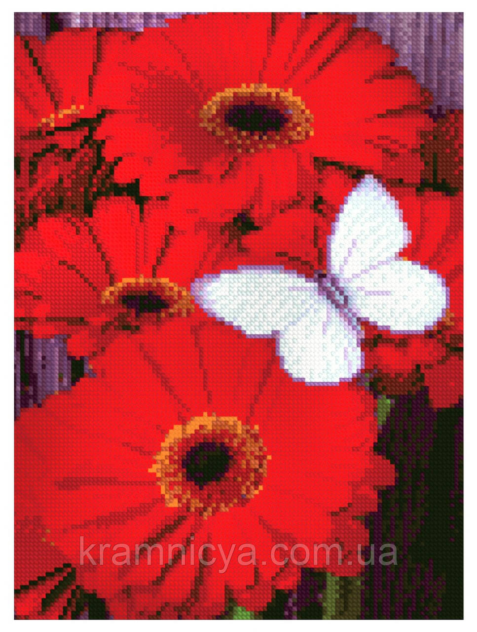 Алмазна мозаїка Метелик на астрах, 30х40 (HX215), фото 1