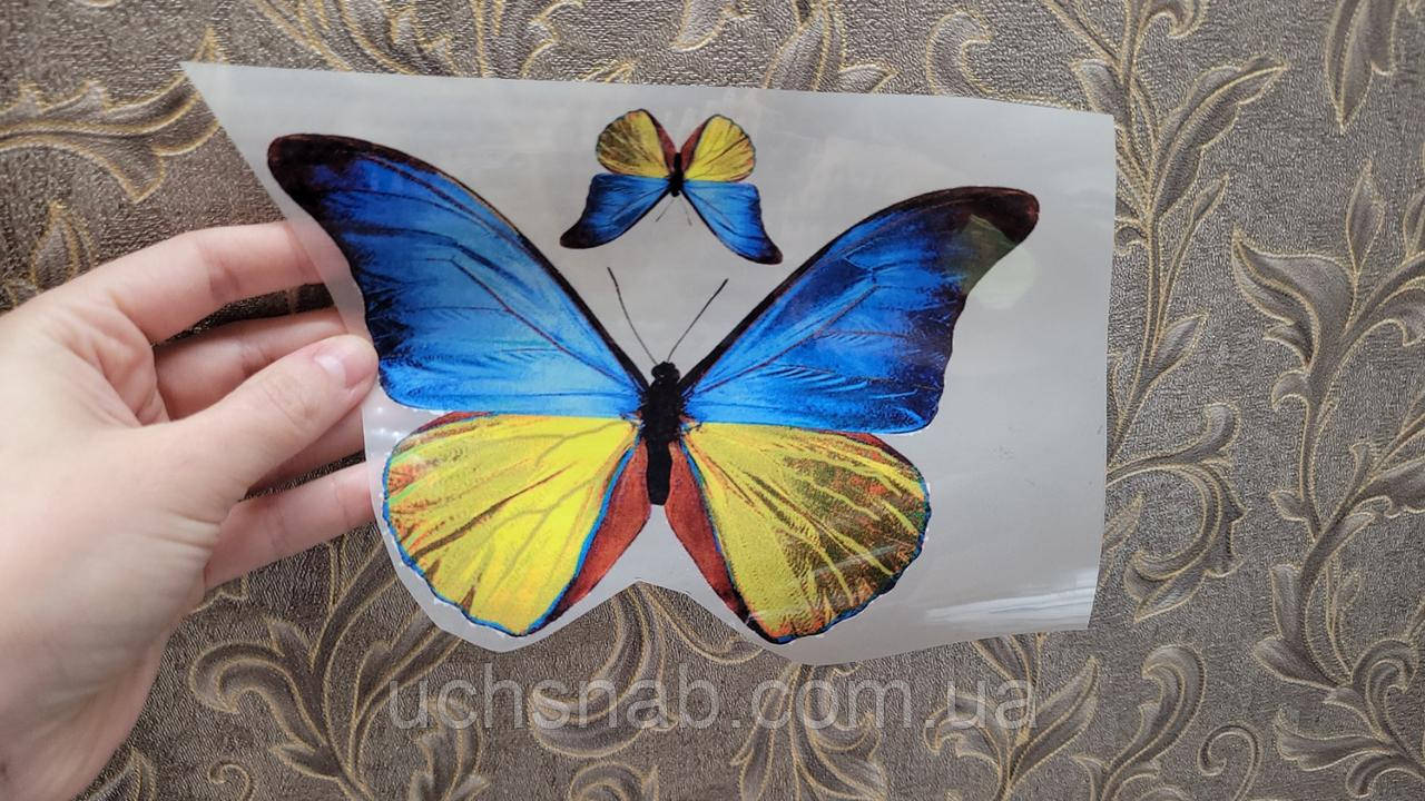 Термонаклейка на одяг Набір метеликів, фото 1