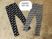 Лосини для дівчаток оптом, Grace, 134-164 см, № G88353, фото 6