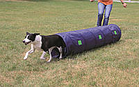 Тоннель для собаки ф40 см/2.00 м, нейлон
