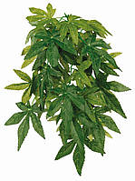 Растение для террариума Abutilon, 20х50 см, шёлк