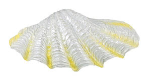 Гроти "Раковини" в асортименті, 6-9 см, набір 8 шт.