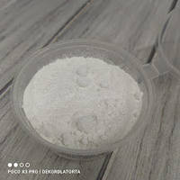 Діоксид титану (білий) сухий барвник 1 кг