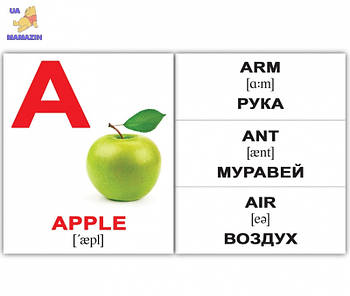 Картки міні англійські "Alphabet" 094071