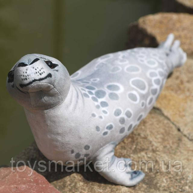 Тюлень Тюлень