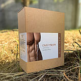 Діветном - капсули для підтримки м’язової маси та фізичної активності, фото 4