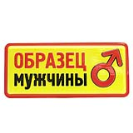 Табличка з гумором "Приклад чоловіка", Табличка прикол "Образец мужчины", фото 5