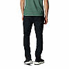 Брюки Columbia Royce Range™ Heat Pant (1956261010) (AO2871-010), фото 3