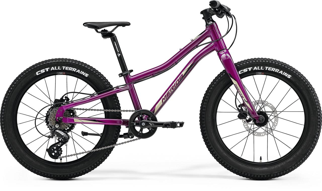 Велосипед MERIDA Matts J.20+ - UN(10) Purple(Black/Champagne)