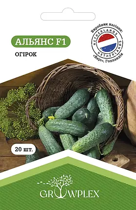 Насіння огірка Альянс F1 20 шт TM GROWPLEX (Bejo), фото 1