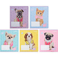 Зошит шкільний Kite 18 аркушів клітинка, софт тач + УФ лак Studio Pets