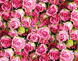 Подарунковий папір для пакування "Рожеві троянди", 5 шт/уп