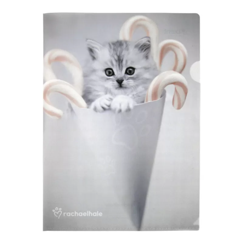 Папка-куточок А4 RH1451-А Rachael Hale (10 штук)