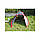 Палатка експедиційна 3 місцева Tramp сіро-червона 480 x220x130 см. 138223, фото 8