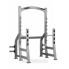 Стійки зі страховками + турнік + підставки для дисків TS3033