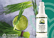 Chlorophyll Liquid Хлорофілл рідкий NSP