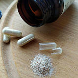 Набір "Для схуднення", Джерелія, фото 9