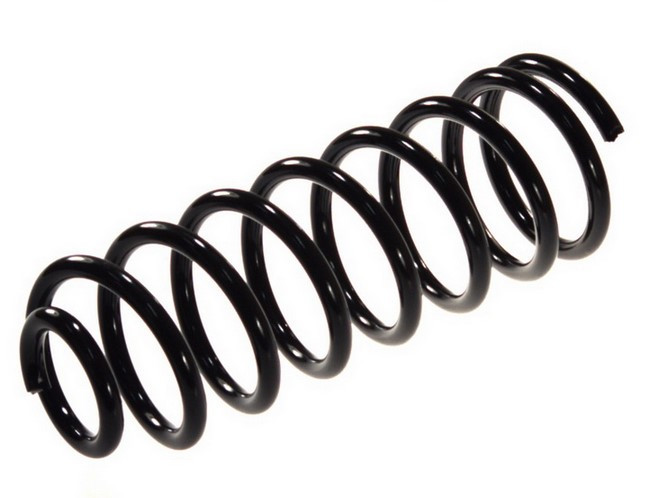 Пружини задні Peugeot Expert 95-02 Expert Line OP66144, фото 1