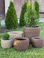 Кашпо з штучного ротангу Rattan Home