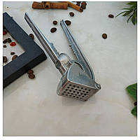 Часникниця квадратна 1764