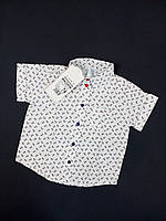 Дитяча сорочка для хлопчика з коротким рукавом Gabbi Якоря 74см біла 11299