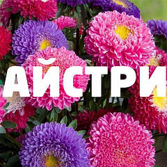 АЙСТРИ