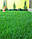 Газонна трава DLF Trifolium Playground (Плейграунд) Спортивна 20 кг, фото 3