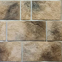 АЛЬПІЙСЬКИЙ ДІМ