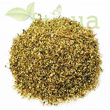 Терна квіти, дика слива 50 гр. Свіжий урожай