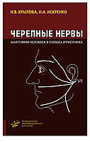 Крылова Н.В. Искренко И.А. ЧЕРЕПНЫЕ НЕРВЫ. АНАТОМИЯ ЧЕЛОВЕКА В СХЕМАХ И РИСУНКАХ