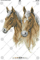 Схема на тканині для вишивки бісером Коні А3Н_052 Вірена