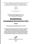 Вогнева І.В. Всик М.А. Жданкіна Ю.С. Бірюків Н.С. БІОФІЗИКА: ВЗІМОДЕЙСТВІ КЛІТКИ І ПОЛЯ, фото 2