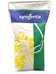Озимий ріпак Технік Syngenta