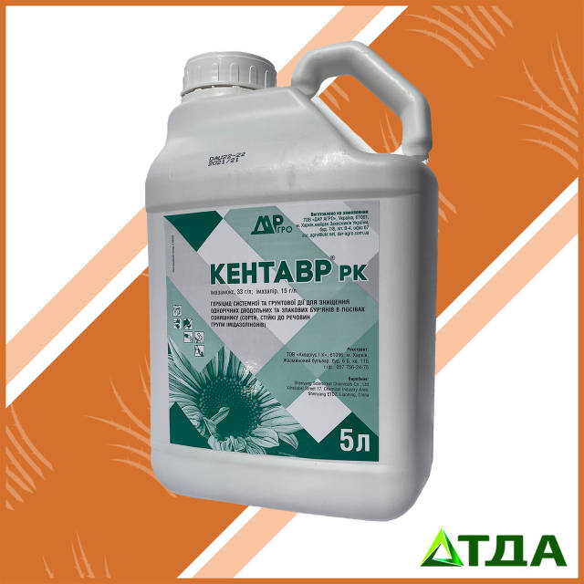 Кисканың тұрған ит стилін көрсетеді. Қарау. Жетілген әйелдердің ретро фотосуреттері