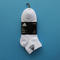 Три пари шкарпеток Adidas Performance DZ9436 носки L 42-46 білі