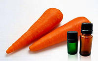 Гидролат Моркови 1 литр