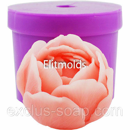 Півонія Белла в бутоні 3D, фото 1