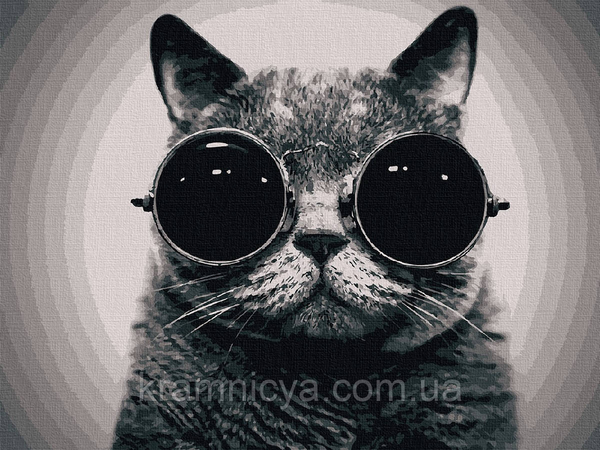 Картина за номерами Кіт Морфеус, 40х50 ArtCraft (11607-AC), фото 1