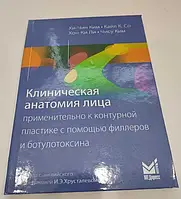 Клиническая анатомия лица Клінічна анатомія обличчя