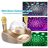 SDRD SD-308 караоке система для дому на два мікрофони з квітчастою і Вluetooth — Чорний, фото 5