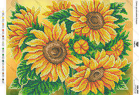 Схема на тканині для вишивки бісером Соняхи А3Н_450 Вірена