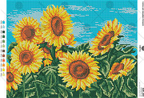 Схема на тканині для вишивки бісером Соняхи у полі А3Н_250 Вірена