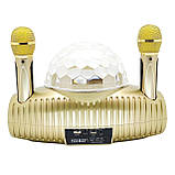 Караоке система SDRD SD-308 для дому на два мікрофони з кольоромузикою та Вluеtооth - Золота, фото 8