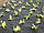 Агроволокно від бур'янів Bradas 1,60х5м 50 г/м2 чорне (Польща), фото 3
