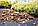 Агроволокно від бур'янів Bradas 1,60х5м 50 г/м2 чорне (Польща), фото 4