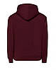 HOODIE THE NORTH FACE Толстовка Кофта з принтом Норт Фейс Кенгуру бордове Ноз Фейс Худі Нос Фейс Зимове, фото 3