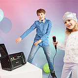 Караоке-система DiscoFever CD/CD+G плеєр Тримач для iPad (Німеччина, читати опис), фото 4