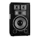 Пара TX10 з 25-сантиметрових (10 дюймів) пасивних гучномовців потужністю 150 Вт RMS (Німеччина, читати, фото 2