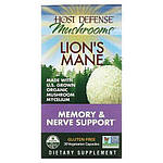 Їжовик гребінчастий (Lion's Mane)