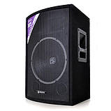 Пасивний бокс-сіт SL12 12-дюймовий вуфер 200 Вт/300 Вт макс. 2-смуговий фазоінвертор 12" (30 см) — пара, фото 2